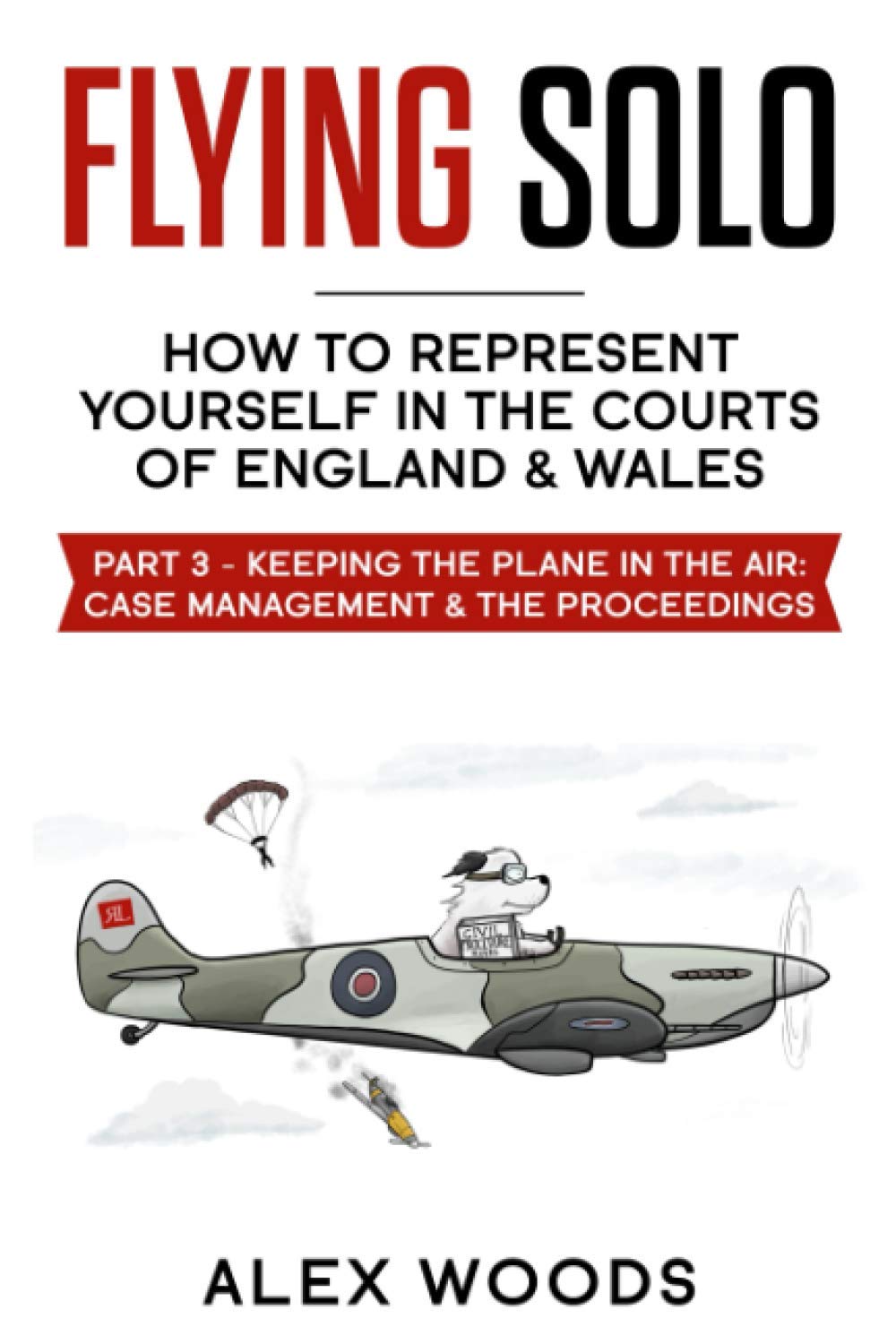 Flying Solo: Representing Yourself in the County Courts of England & Wales
