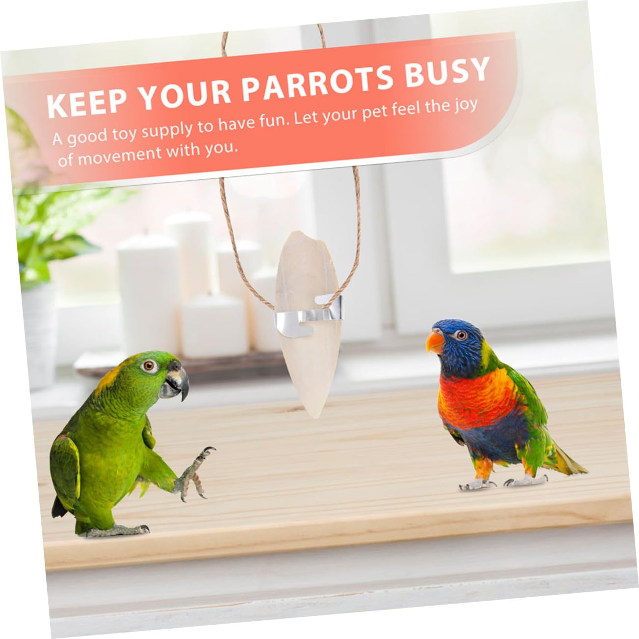 Mipcase 50pièces Jouets à Mâcher pour Perroquets De Seiche Jouets pour Oiseaux avec Design Pendentif Adaptés Aux Perruches Et Perroquets Accessoires Sûrs Et pour Jeu Et Entretien