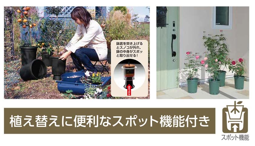 Apple - バラ売り専用 アップルウェアー バラ鉢8号まとめ売り - メルカリ