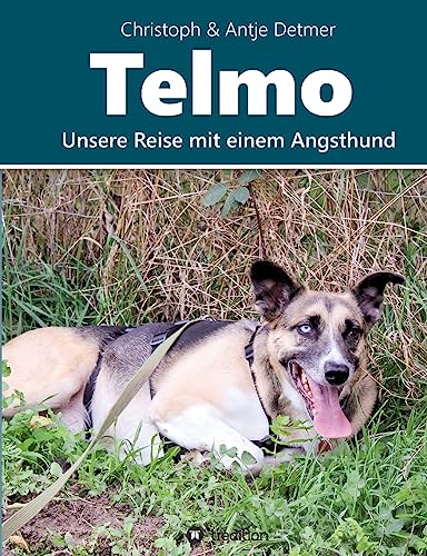 Telmo: Unsere Reise mit einem Angsthund