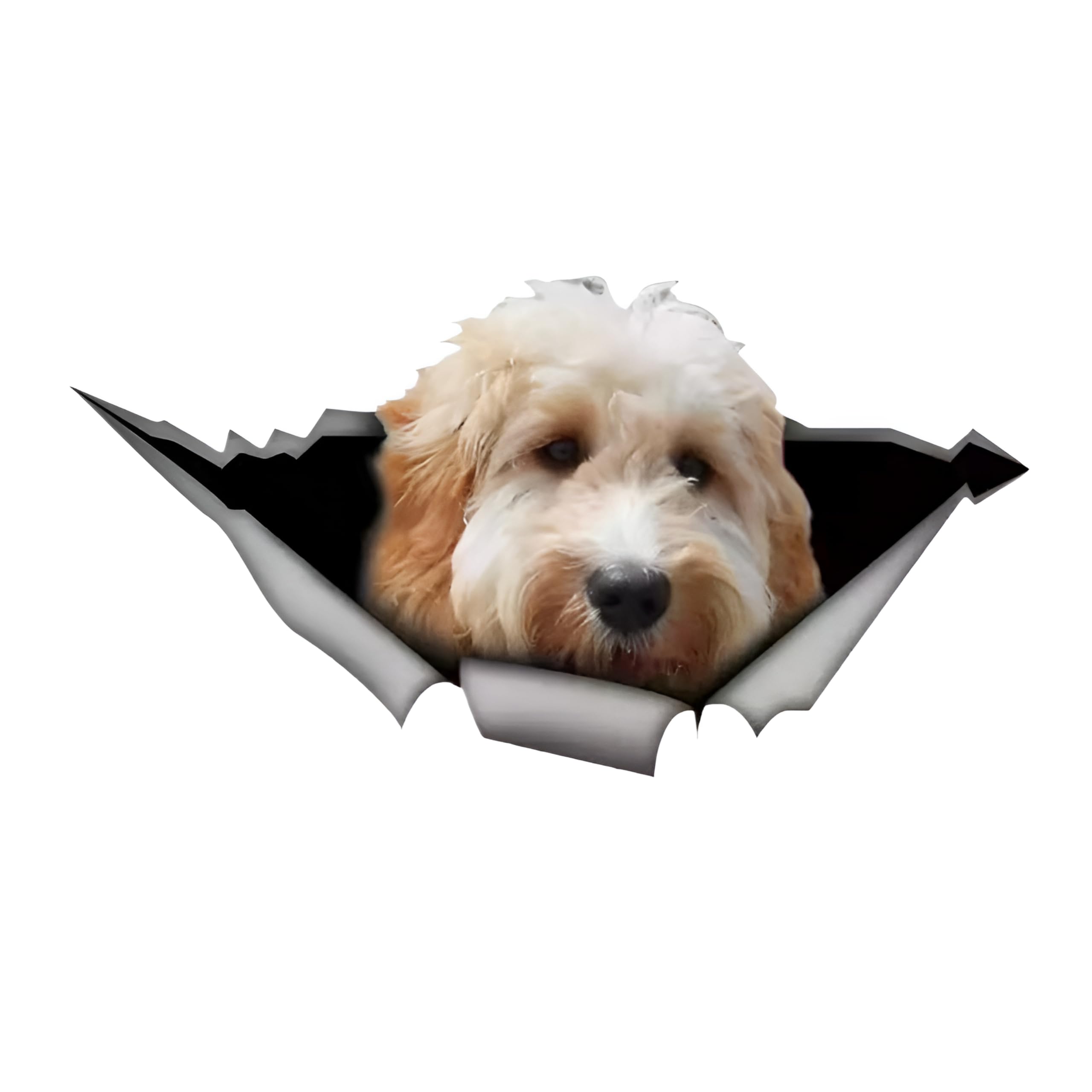 Französische Bulldogge Aufkleber, 3D Zerrissener Effekt, Was