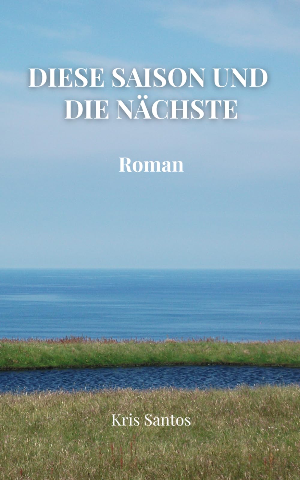 DIESE SAISON UND DIE NÄCHSTE: ROMAN