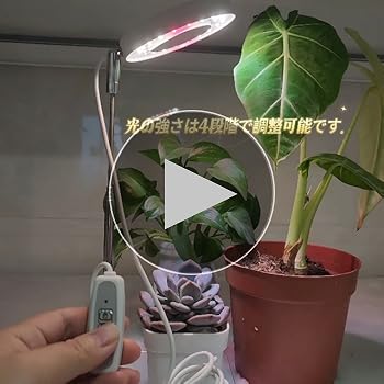 室内栽培に圧倒的な支持！！ Adjustable LED 780W+100w Amazon.co.jp: Raygrov 植物育成ライト LED 室内栽培ライト 調光