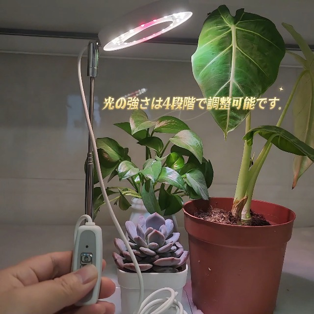 Amazon.co.jp: Raygrov 植物育成ライト LED 室内栽培ライト 調光