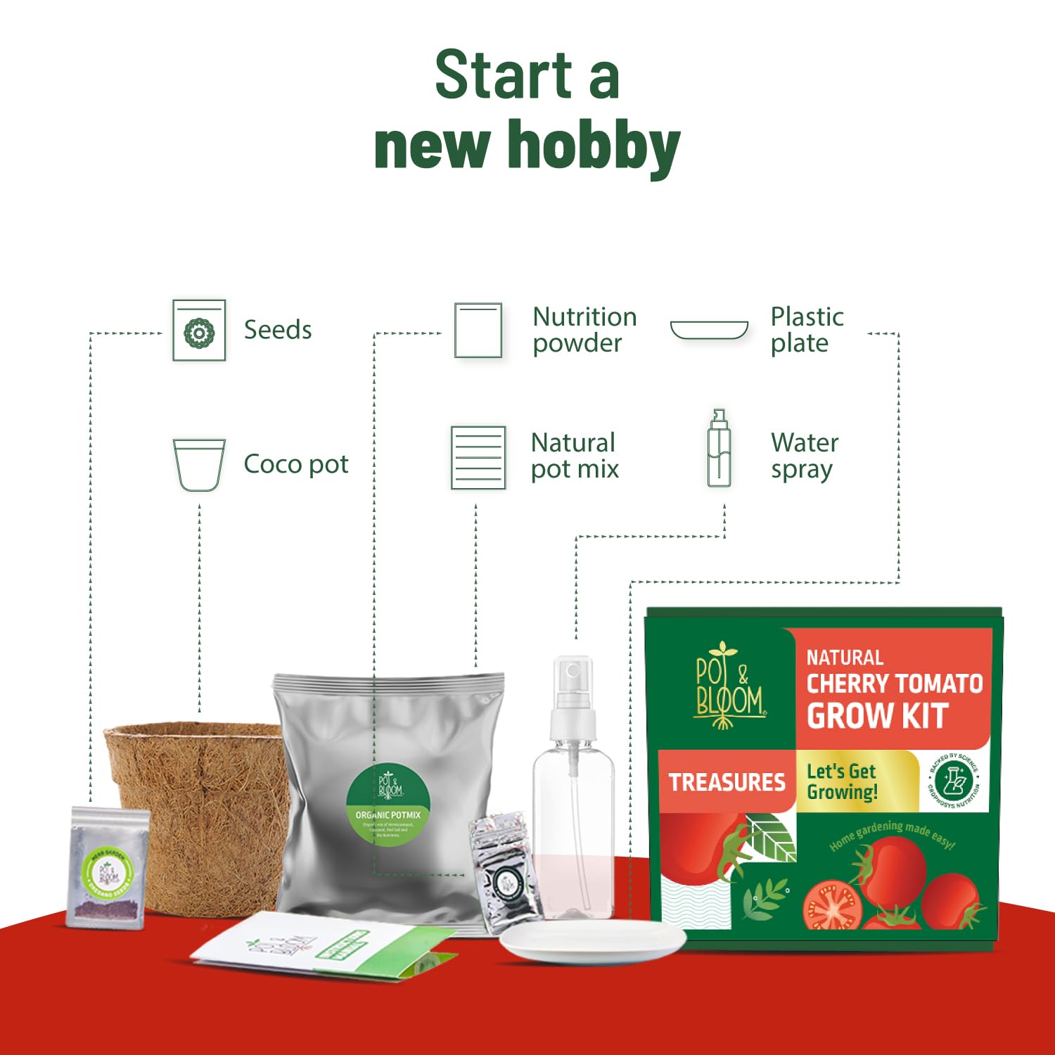 Pot and Bloom Cherry Tomato Grow Kit with Garden Essentials for Home 1