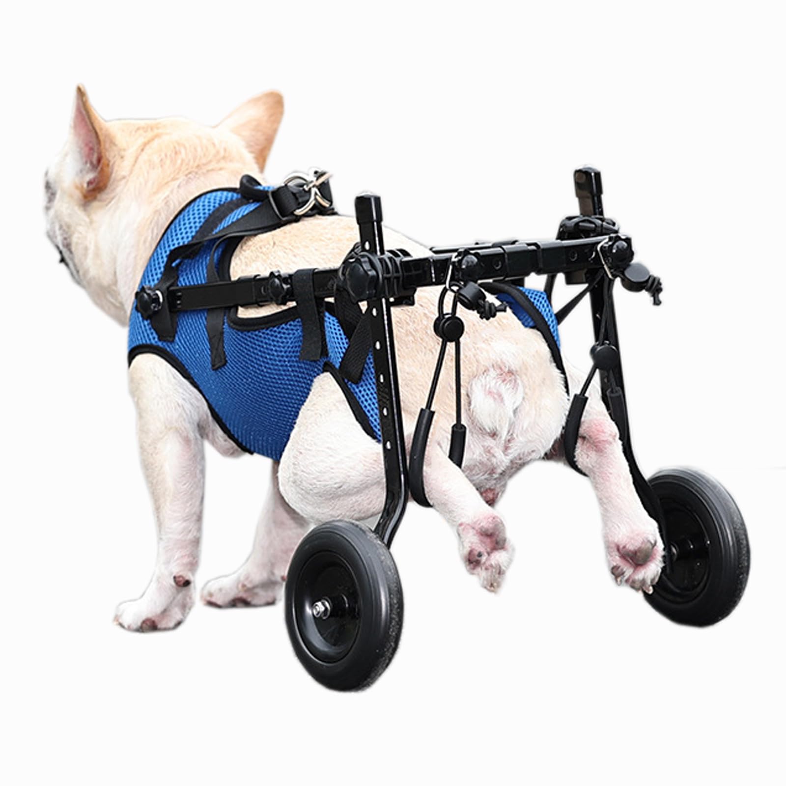 Silla de ruedas ajustable para perros con discapacidad, plegable y ligera, azul XS