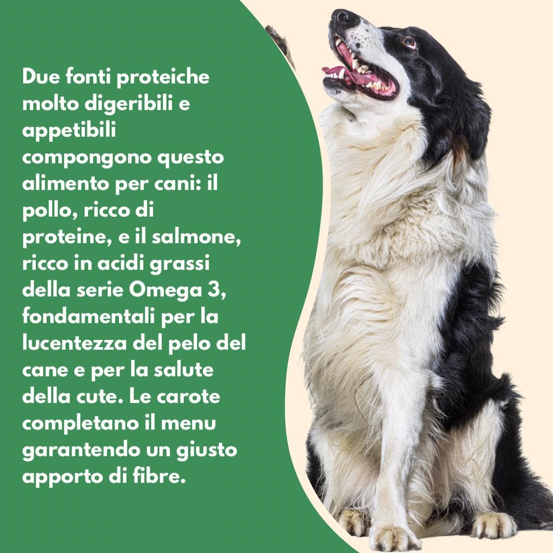 Natural Code - Comida húmeda para perro número 401 con sabor a pollo, salmón y zanahorias, alimento completo para perros adultos de todas las tallas y razas, en lata, 6 latas de 400 gramos cada una, 6