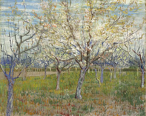 Tableau impressions d'art mural vintage de qualité supérieure Van Gogh format 60x90cm