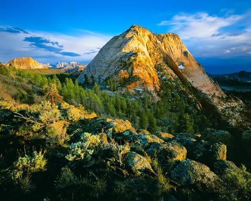 Rodney Lough Jr Wilderness Collections Pine Valley Peak 1000 Piece Puzzle