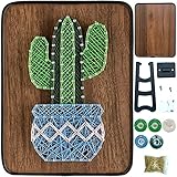 BAZIMA DIY String Art Kit for Beginner,Cactus String Art ,DIY Cactus Potted Craft Kit,Unique Gift,Craft Kit for Holidays