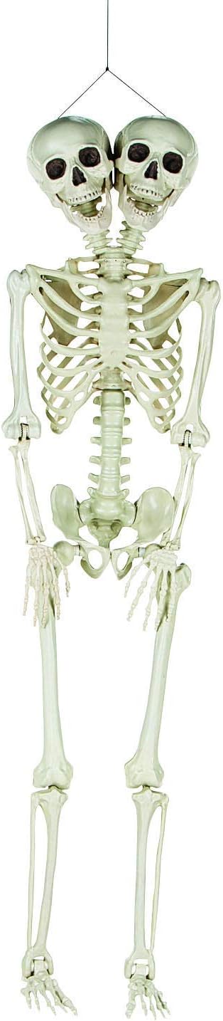 Fun Express Two-Headed Life-Size Human Skeleton 5 Feet Tall Posable Halloween Decorations Outdoor & Indoor Scary Halloween Decor for Yard Porch & Party Premium Plastic Construction with Hanging String