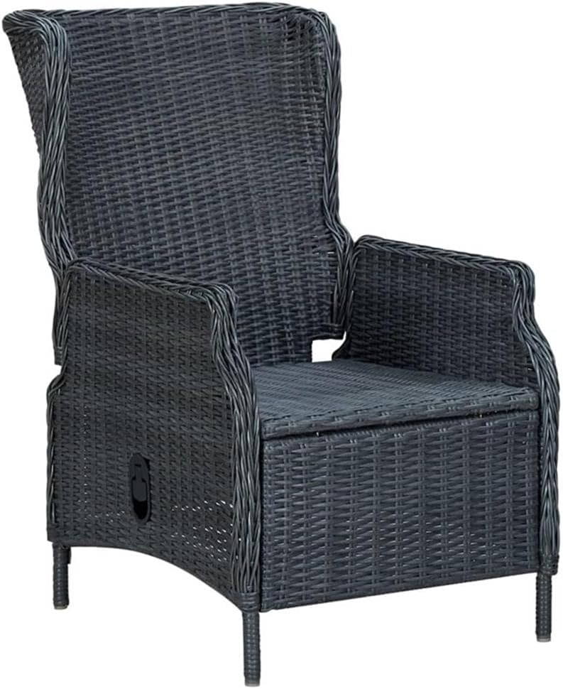 BOWERY HILL Contemporary 9-Piece Synthetic Poly Rattan Outdoor Dining Set, Dark Gray and Acacia Wood, Weather-Resistant, Rectangular Table with Cushioned Chairs for Garden, Patio, Terrace Dining