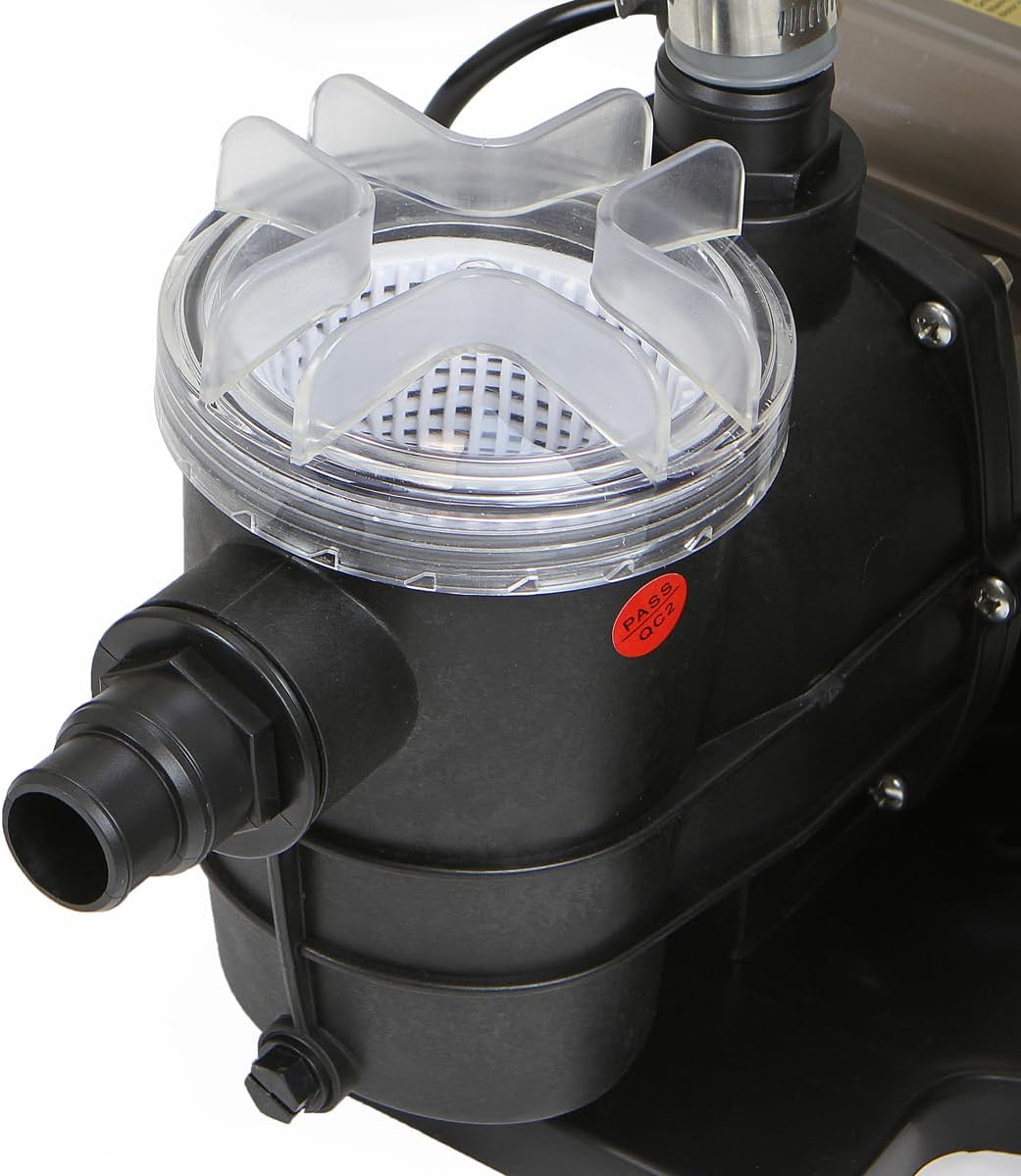 Close-up of pump basket with clear lid