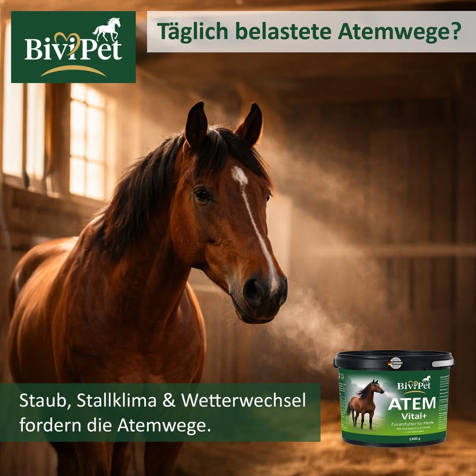 Atem Vital+ für Pferde – bei Husten & Belastung – 1,3 kg – mit natürlichem Eukalyptol & 12 Vitaminen – Atemwege & Bronchien Unterstützung – inkl. Dosierlöffel & Eimer mit Henkel