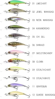 Amazon.co.jp: レイドジャパン(Raid Japan) LEVEL SHAD Sprinter 68MR