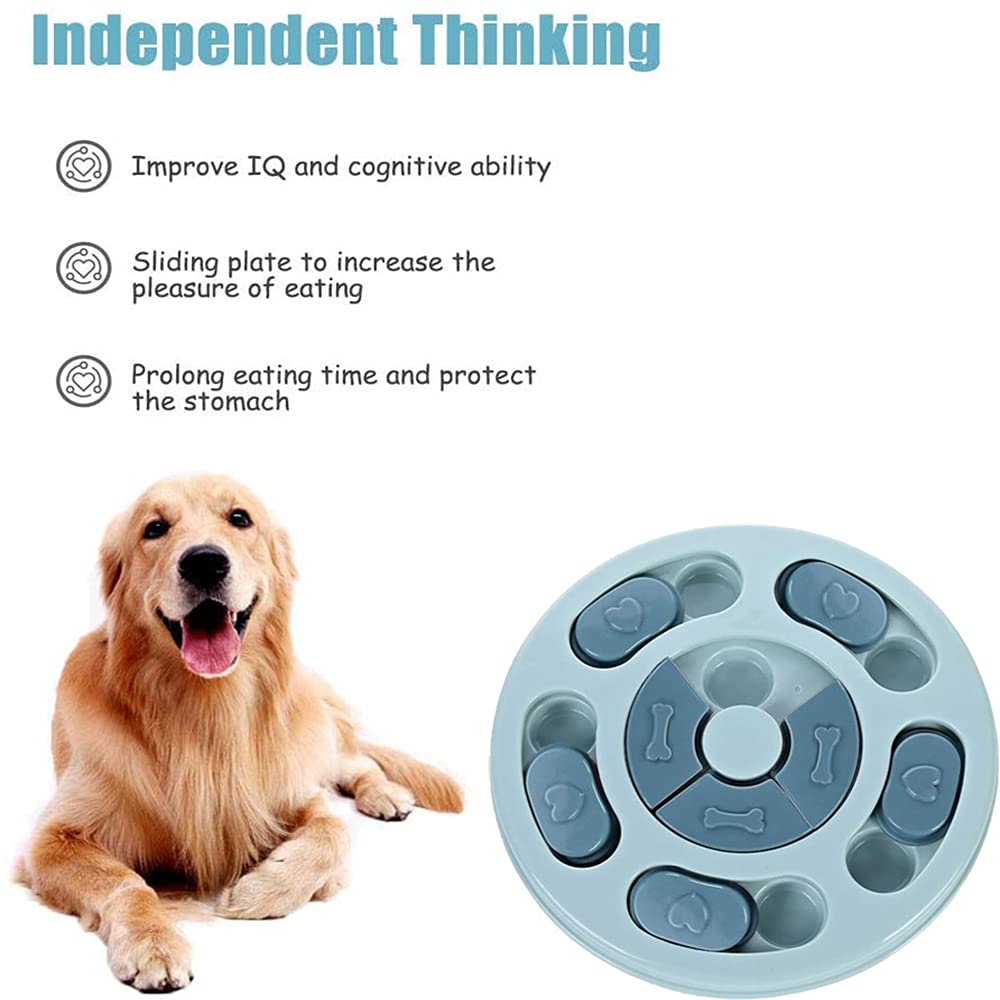 Do Dogs Have Cognitive Thinking