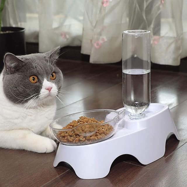 Foto 6 de 7 de MILIFUN Juego de Cuencos Dobles para Perros y Gatos con Botella de Agua automática para Perros y Gatos…