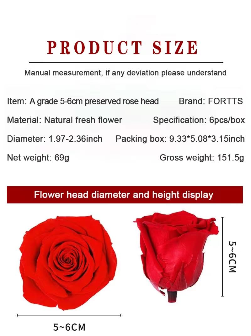 12 Rose Conservate Vere 5-6 Cm – Fiori Eterni Naturali Di Qualità Superiore – Durata 3-5 Anni – Verde - 4