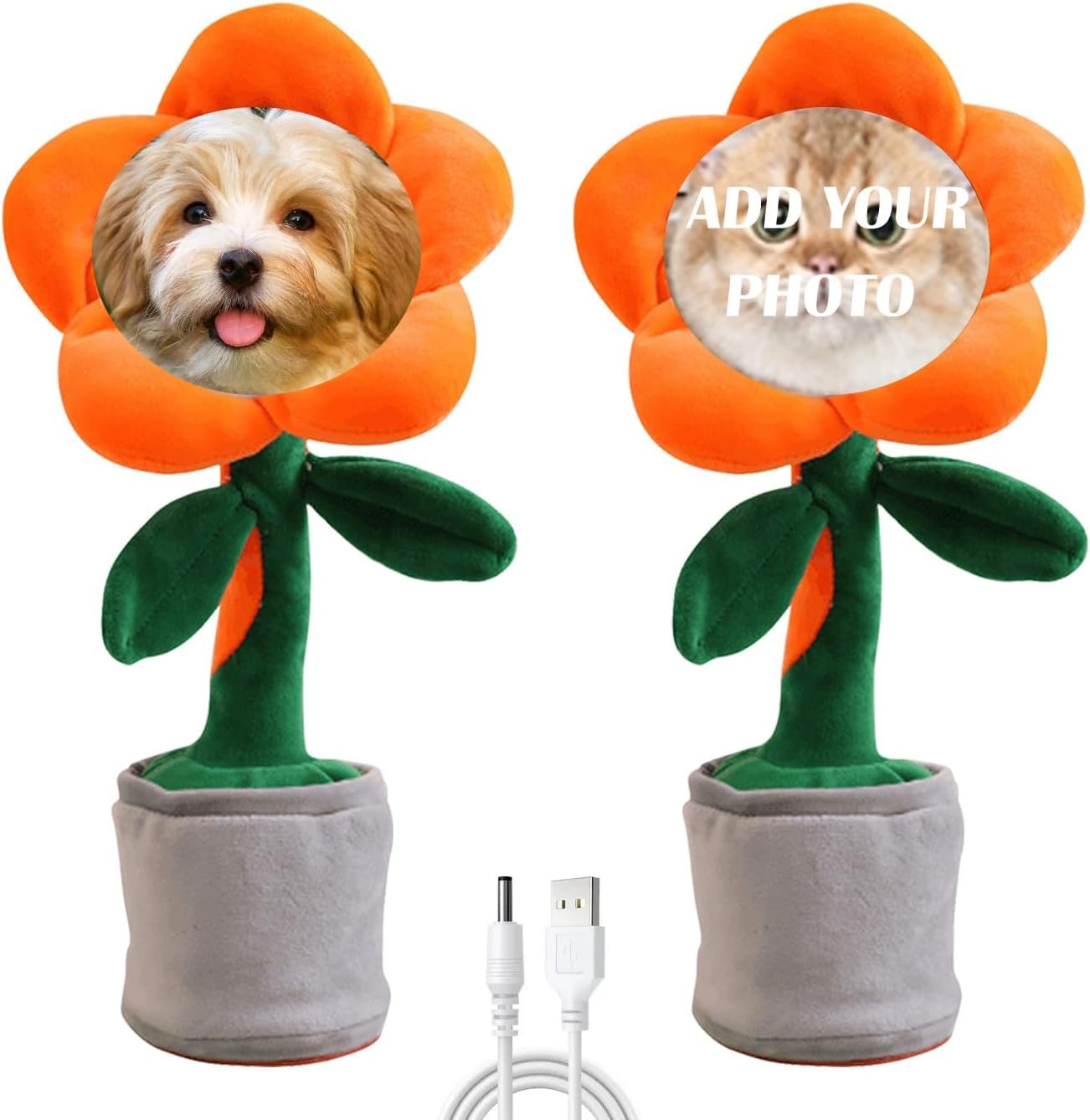 Amazon.com: Cumtoumy Dancing Flower with Custom Face,Gag Gifts