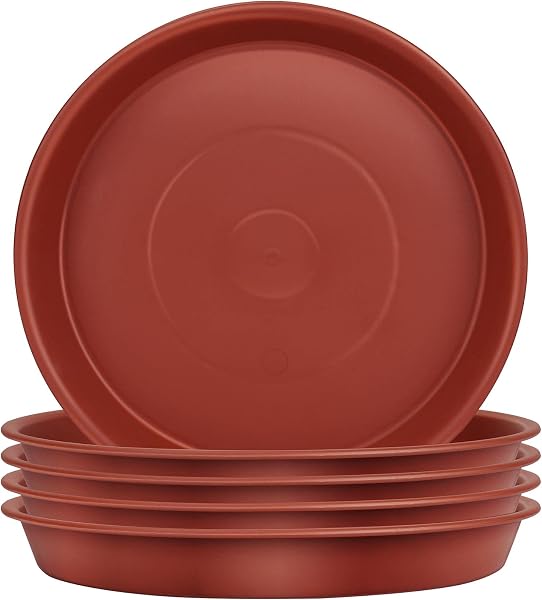 TStarJungle soucoupes pot de fleur 14 cm, lot de 5