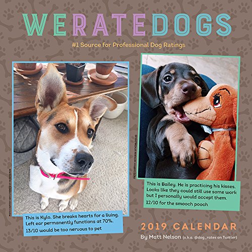 WeRateDogs 2019 Wall Calendar