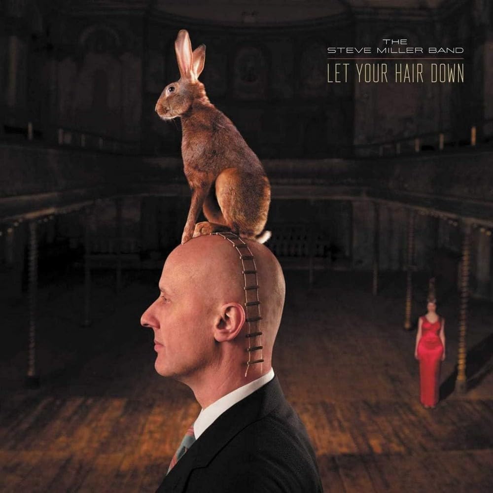 Let Your Hair Down [VINYL]