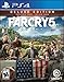Far Cry 5 - PlayStation 4 Deluxe Edition