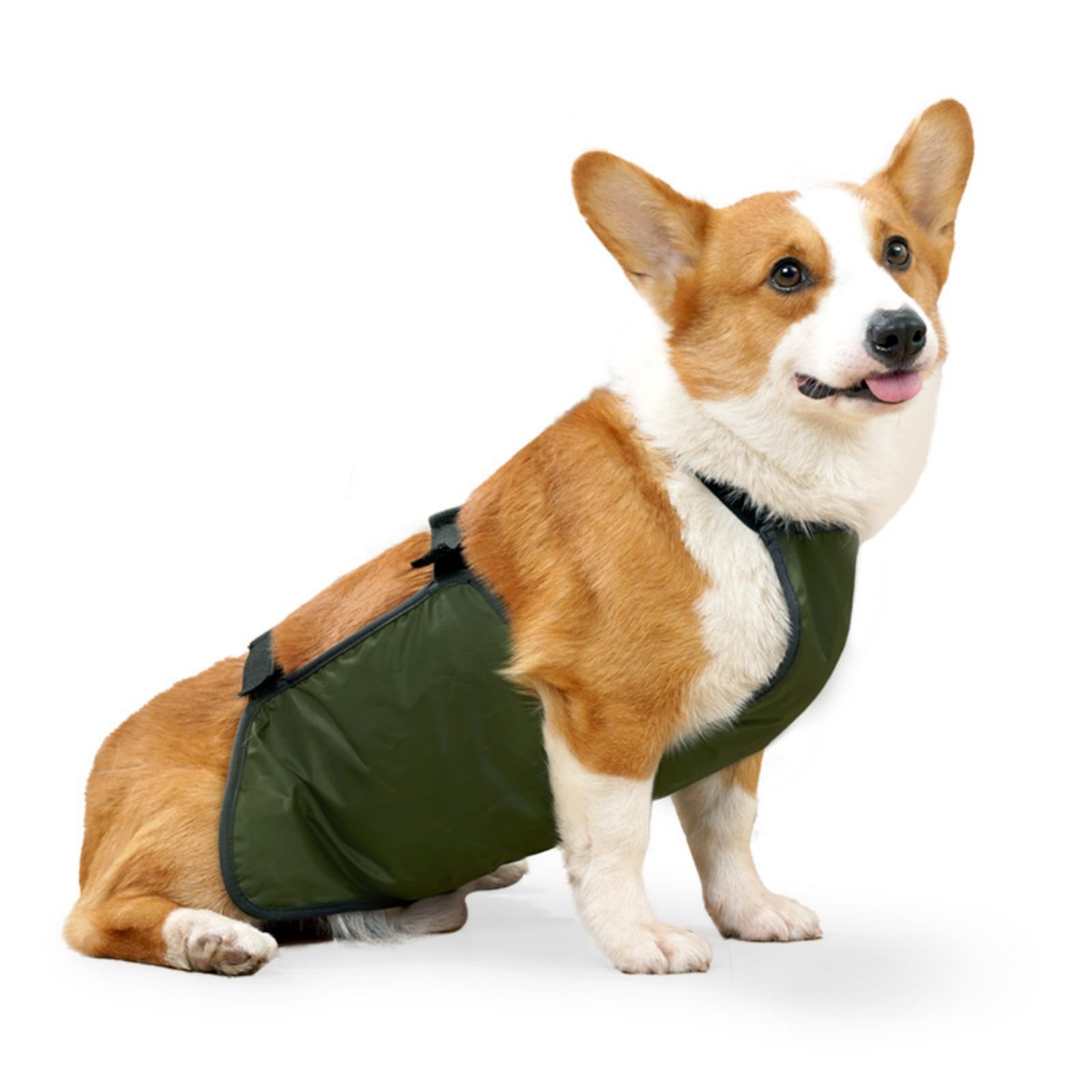 UOSIA Dog Rain Jacket Belly Cover Corgi Raincoat Breathable Anti-Dirty Puppy Outfits Doggy Raincoat Dog Belly Protector
