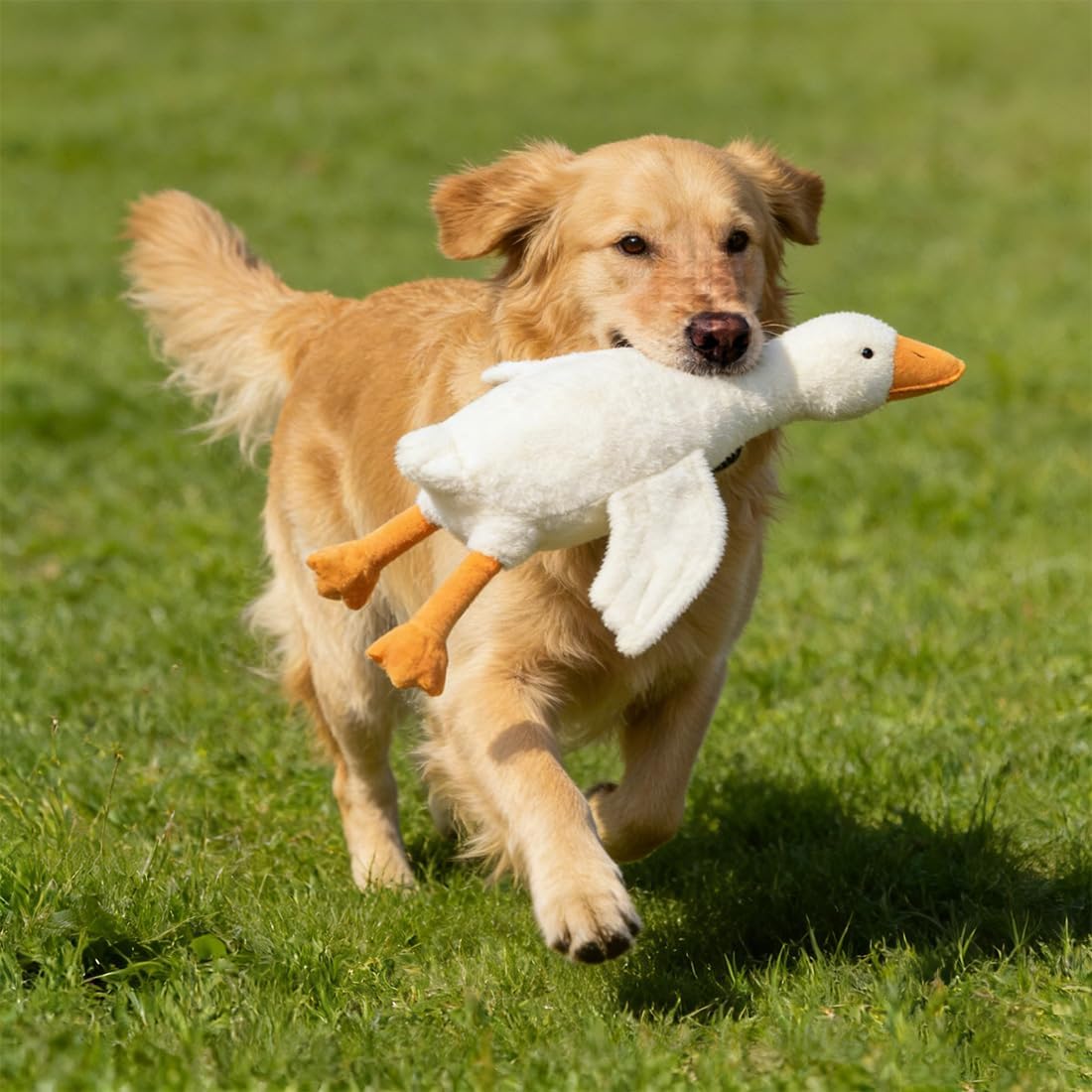 hwqsad 2026 New Large Plush White Duck Dog Toy - Realistic Goose, Anxiety Relief White Duck Dog Toy, Interactive Goose Dogs Toys, for Chewers, Small/Medium/Large Dogs Playing & Training (51.2IN)