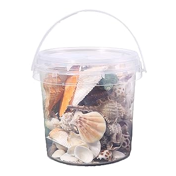 kathson Hermit Crab Seashells Natural Growth Turbo Fish Tank Decorations Scallop Conch Shells Aquarium Mixed Sea Shells for Hermit Crab Cichlids Guppies Shrimp Shell Dwellers Assorted Sizes 300g