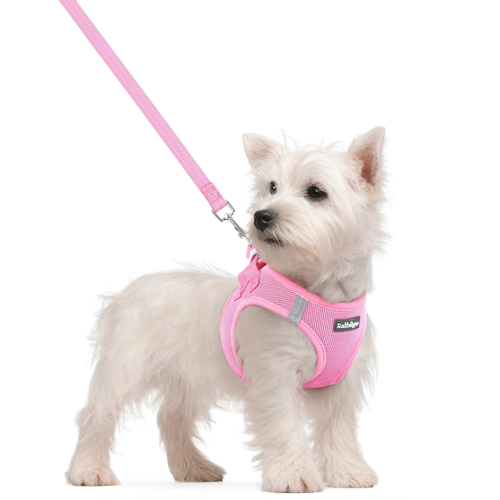 rabbitgoo Dog Harness Small Dog and Leash Set, Step-in Soft Mesh Puppy Harness with Reflective Strips, Lightweight Breathable Pet Vest for Walking Training, Light Pink, S