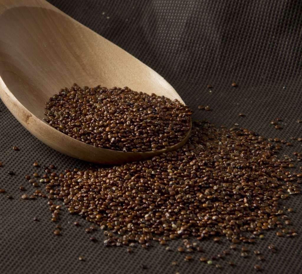 Quinoa roja ECOLOGICA a granel - 5000