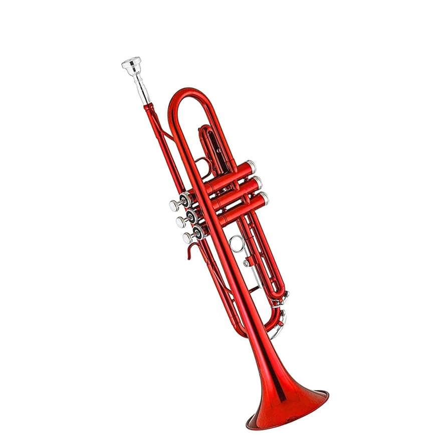 HORN BLOWER 管楽器 乾燥機 ブロアー トランペット HORN BLOWER 管楽器 乾燥機 ブロアー トランペット