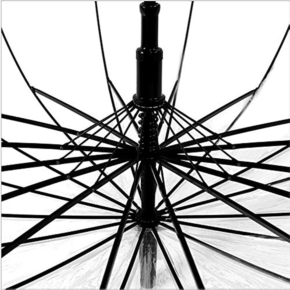 Portible Transparent Umbrella | Durable Wind-Resistant Umbrella | maximum rain coverage umbrella | With A Ling Handle (Pack Of 1). 3