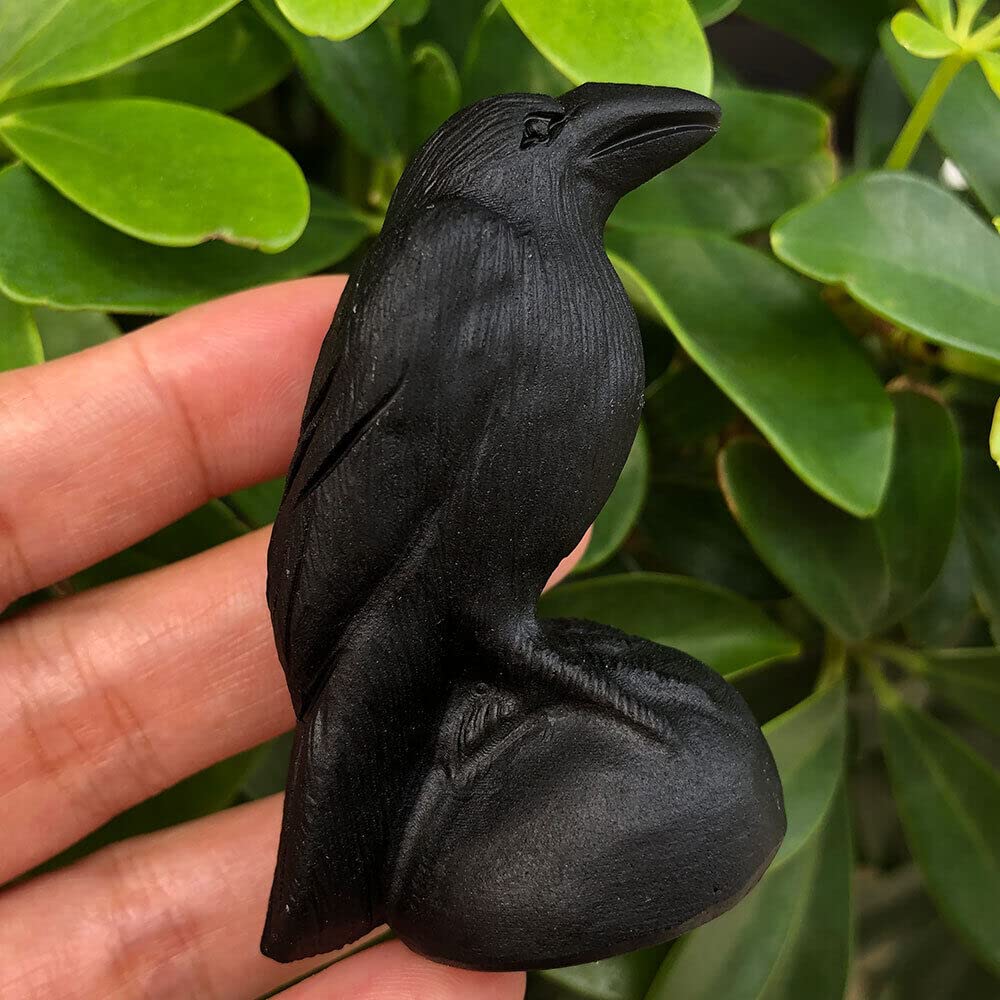 Teamwill Black 1Pc Natural Obsidian Crow Skull Quartz Crystal Carved Skull Figurines Healing 2.76"