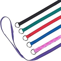 Downtown Pet Supply 24-Pack Slip Lead Dog Leashes 4' x 1/2" - Universal Machine Washable Leads for Groomers, Shelters, Vets