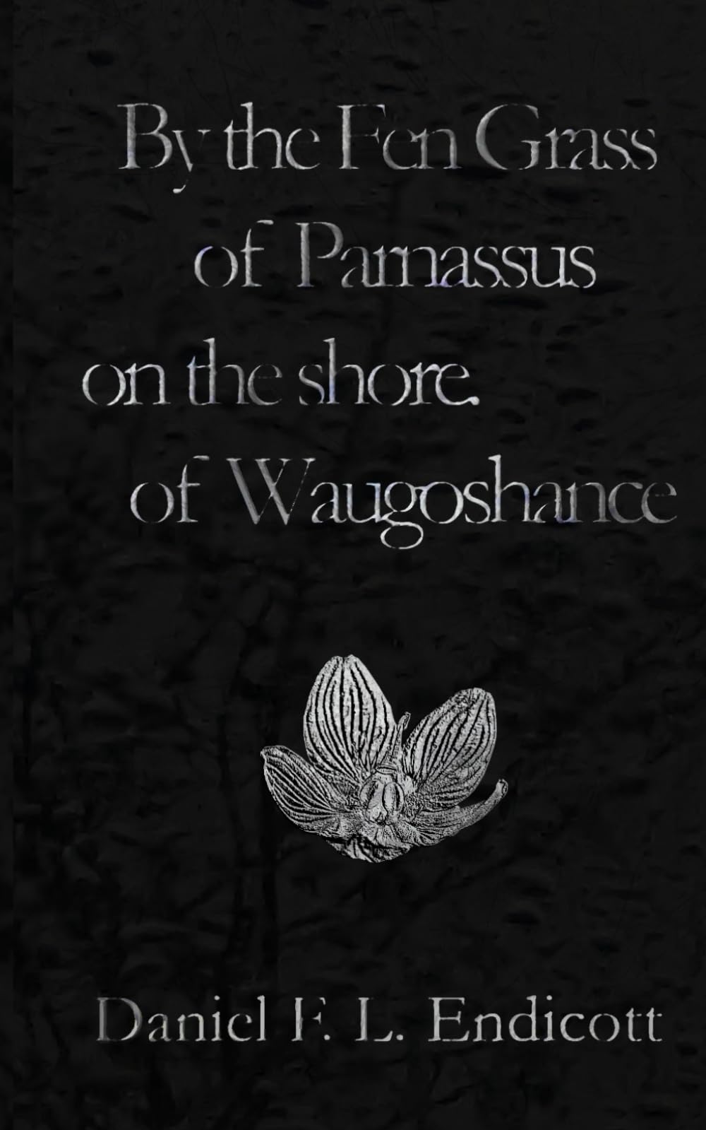 By the Fen Grass of Parnassus on the Shore of Waugoshance (The Cut)