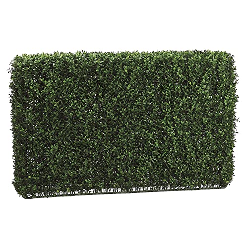 24Hx7Wx36L Boxwood Hedge Two Tone Green