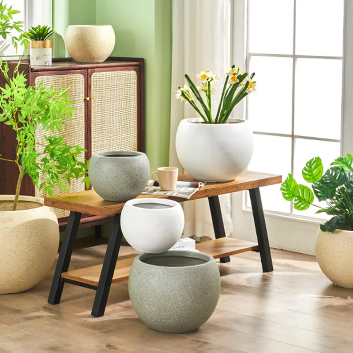 Amazon.co.jp: [ムリョ] 植木鉢 セメント 鉢 受け皿なし 観葉植物 03