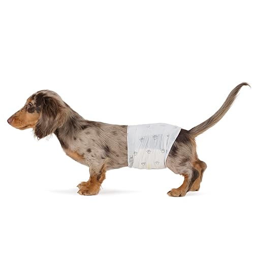 Amazon Basics Absorbent, Leakproof Male Dog Wrap Disposable Diapers, Small,