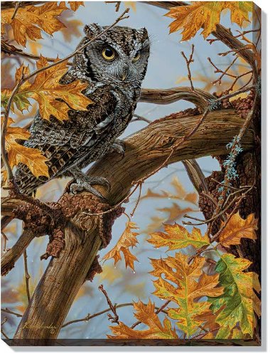 Lee Kromschroeder - Tapestry - Screech Owl