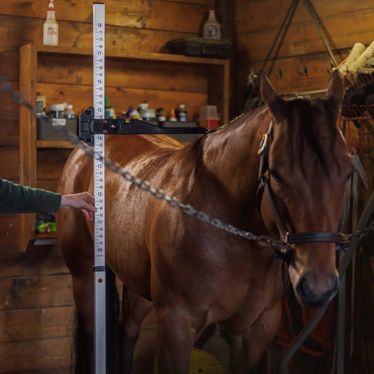 Country Pride Aluminum Measuring Stick (Horse)