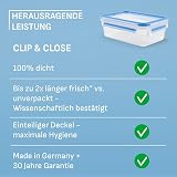 EMSA Clip & Close Frischhaltedose, Eiswürfelform, 22,6 x 16,5 x 4,9 cm, flexibler Boden, Aufbewahrungsbox, 100 Prozent dicht, spülmaschinen-, gefrier-, mikrowellenfest, Blau, Made in Germany, 514549 - 8