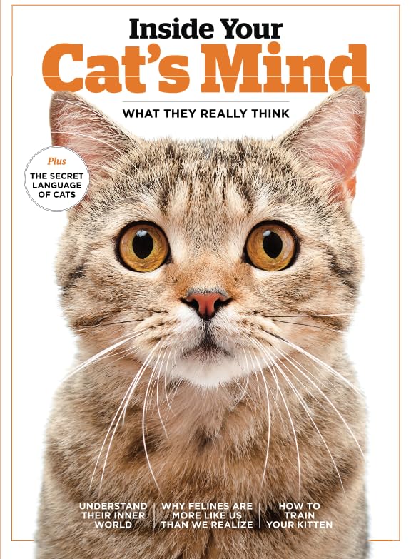 Inside Your Cat's Mind: What They Really Think