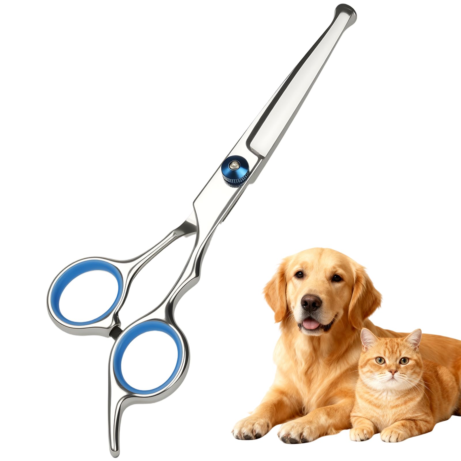 AYBUY Forbici per toelettatura animali domestici, Forbici per Toelettatura Cani con punta rotonda di sicurezza, in acciaio inox, per Animali Capelli Toelettatura, Blu