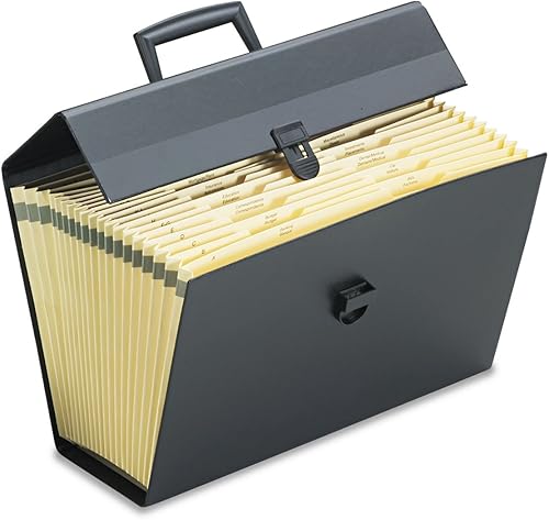 Archivador portátil para organizar cartasdocumentos 19 bolsillos cartas negro Negro
