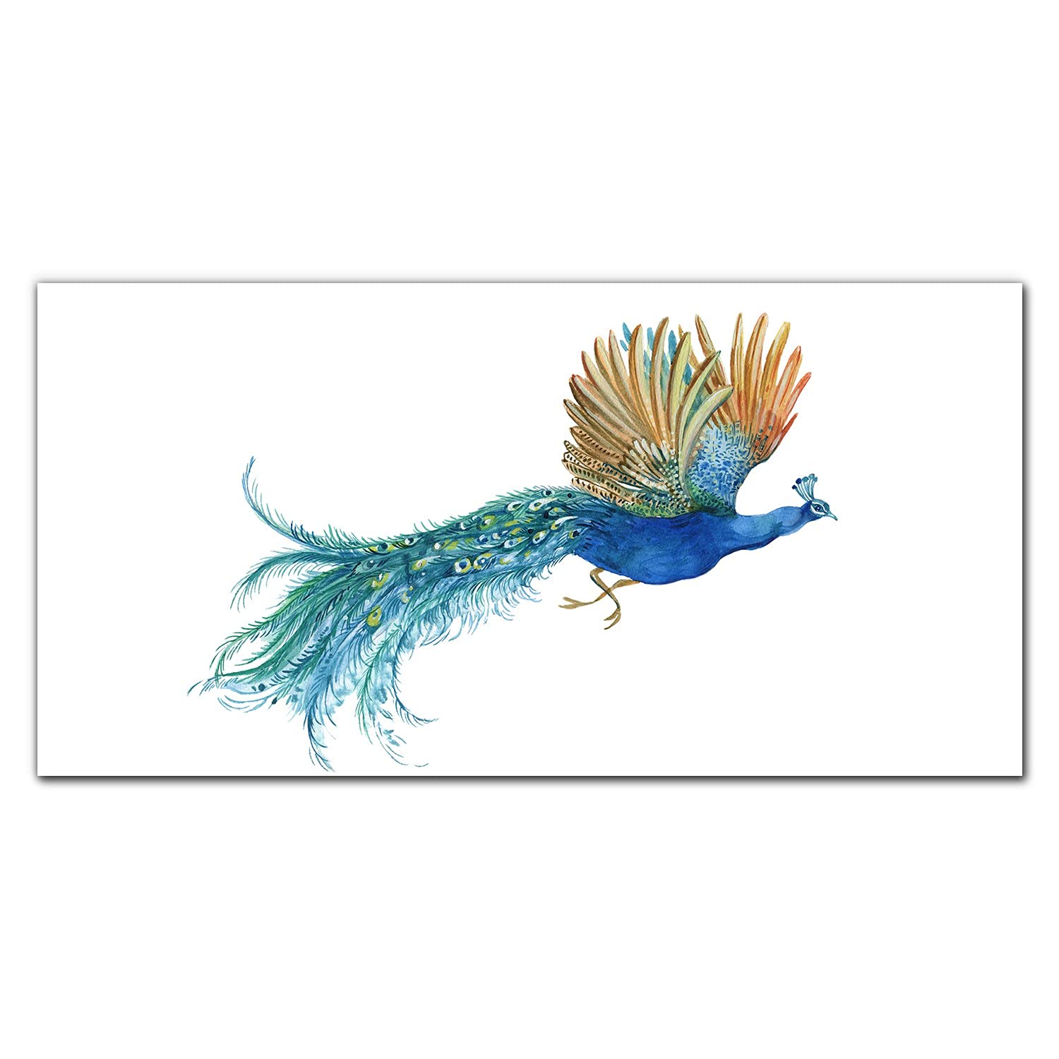 Crédence de cuisine en verre trempé 140x70cm motif oiseau de paon Coloray