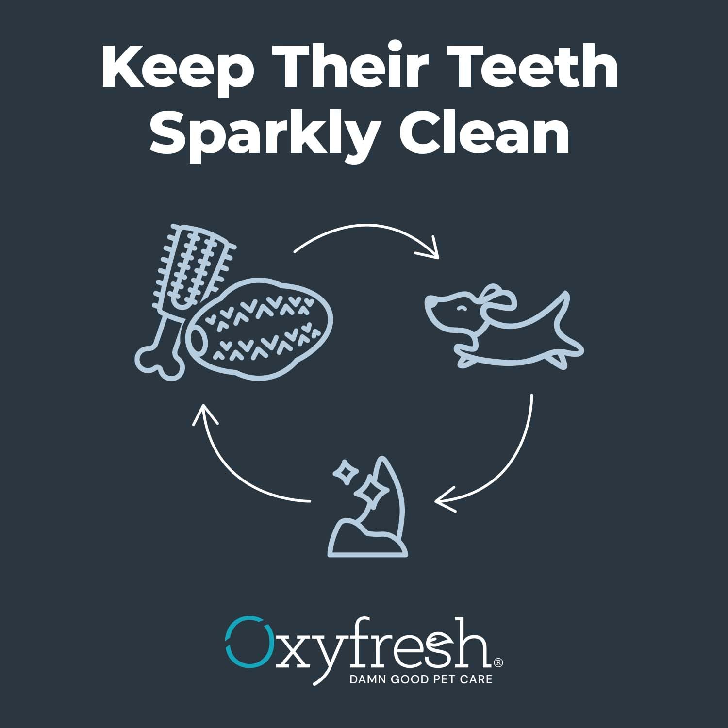 Oxyfresh Juguete dental para perros, el mejor juguete masticable de goma duradero para masticadores agresivos, elimina la placa, limpia los dientes y refresca el aliento sin cepillarse (grande)