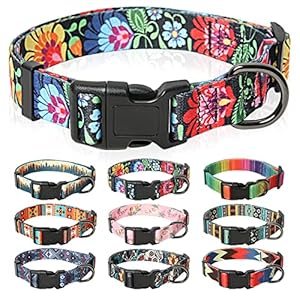 HEELE Dog Collar, Dog Collar for Puppies, Small, Medium, Large Dogs, Patterned Dog Collars, Adjustable, Comfort, Robust Dog Collar, Wild Flowers, M