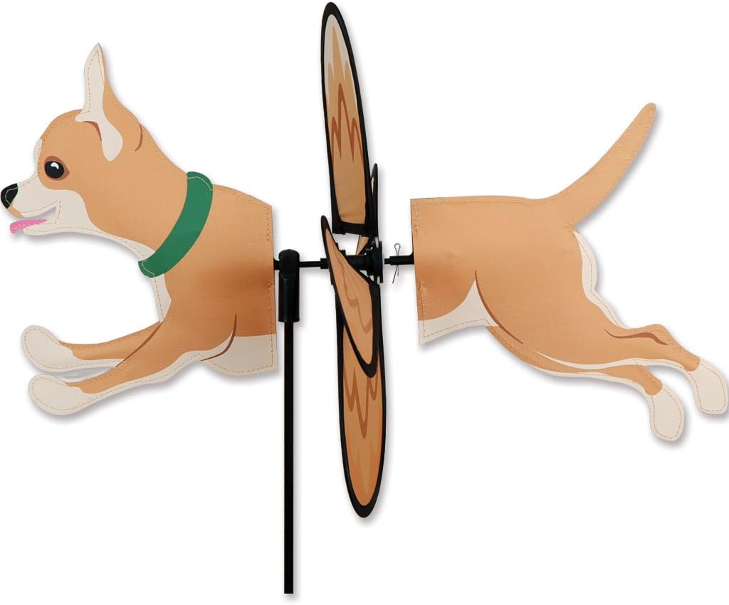 Petite Spinner - Chihuahua